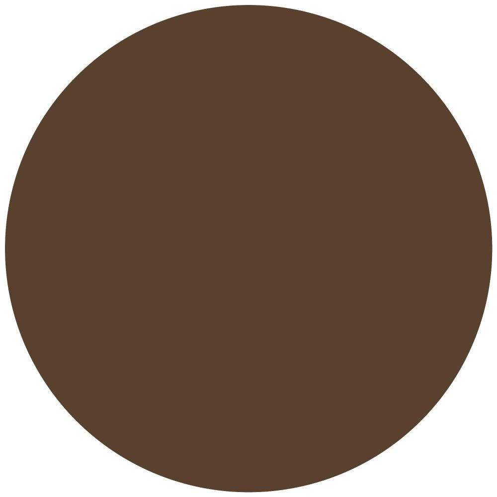 Représentation circulaire d'une couleur marron. Aucun autre détail visible.