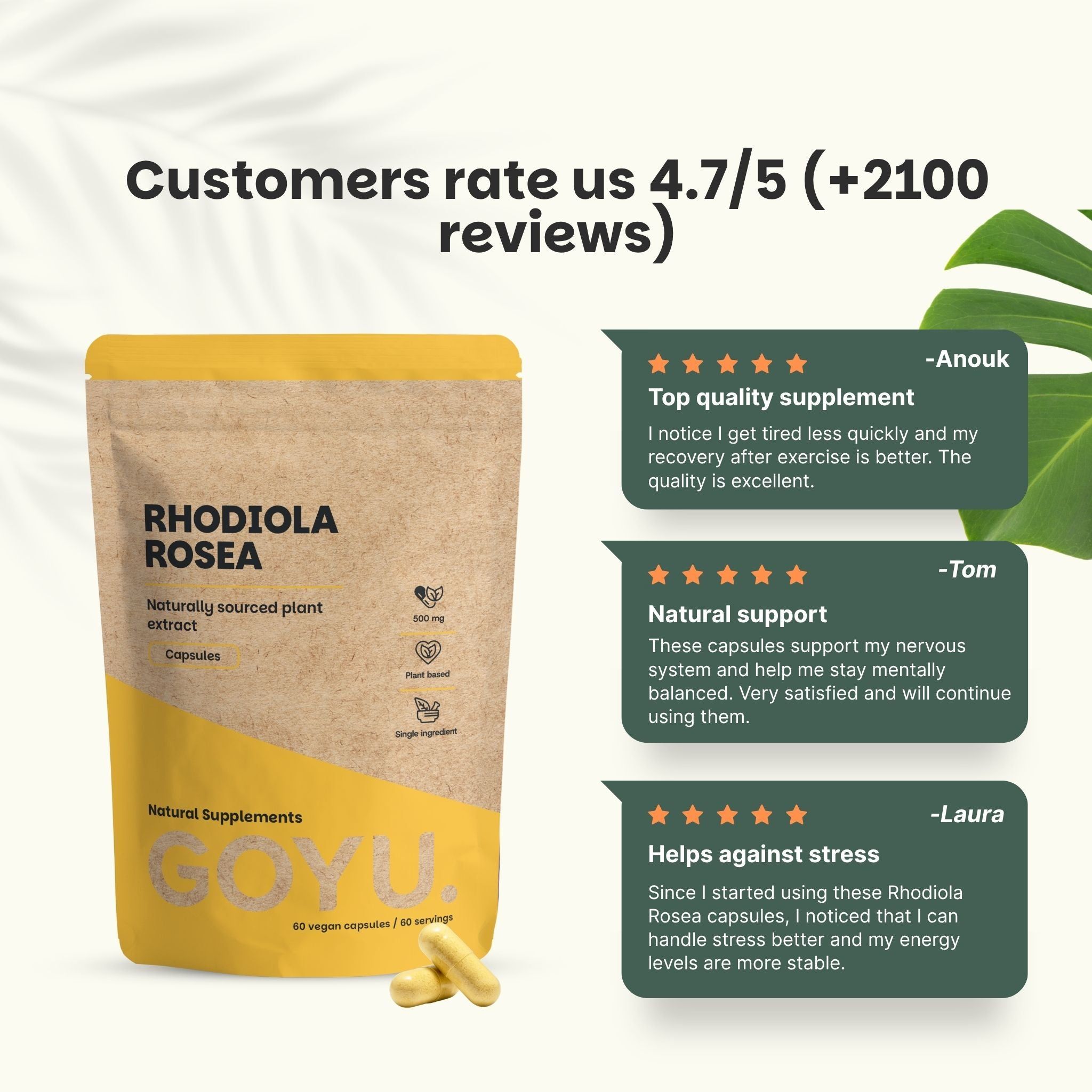 GOYU® - Gélules de Rhodiola Rosea 500 mg - Lot de plusieurs gélules