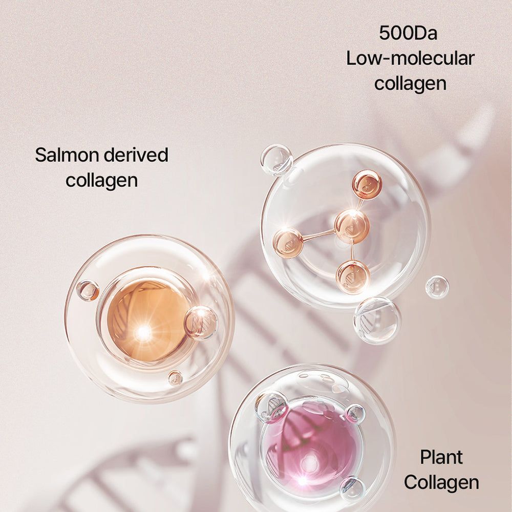 Trois cercles transparents avec contenu: collagène de saumon et végétal, et molécules. Texte: 500Da Low-molecular collagen.