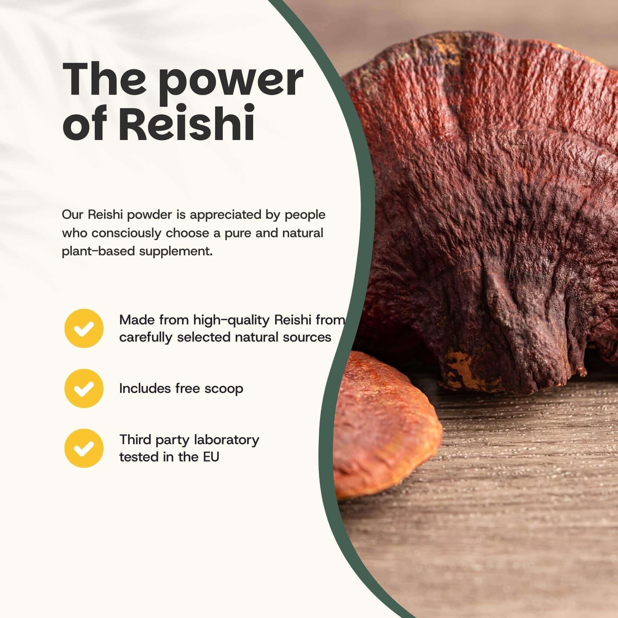 Texte : Le pouvoir du Reishi. Texte et logos. Champignon Reishi en arrière-plan.