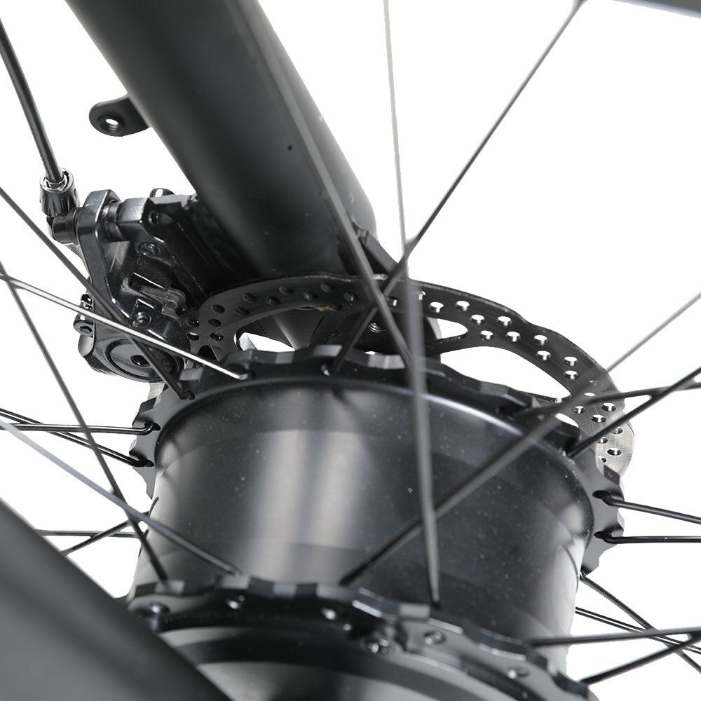 RICH BIT C01 VTT électrique, batterie 48 V 20 Ah, suspension intégrale