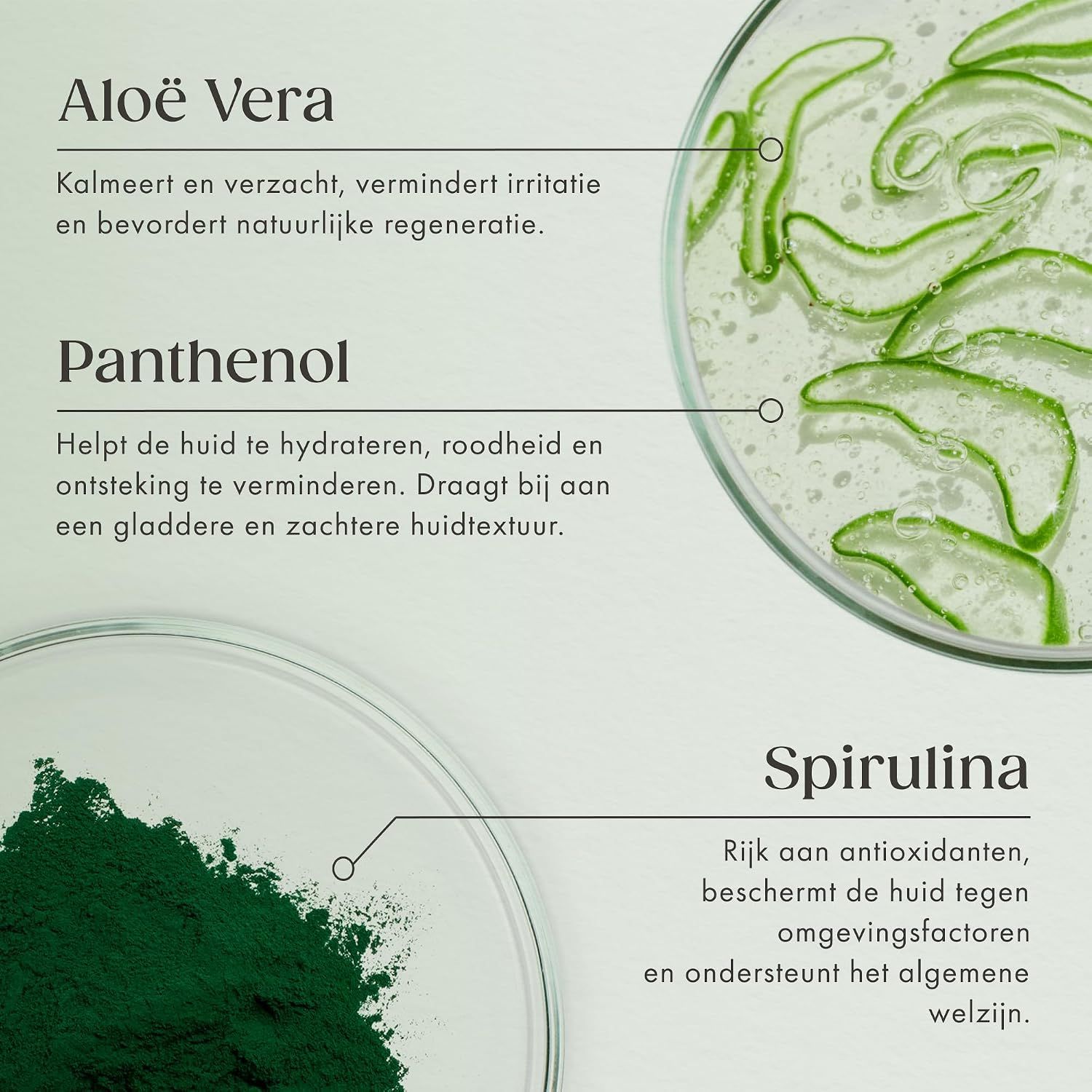 SATIN NATUREL Aloë Vera Serum: Aloë Vera, Panthenol, Spirulina uitgelegd.