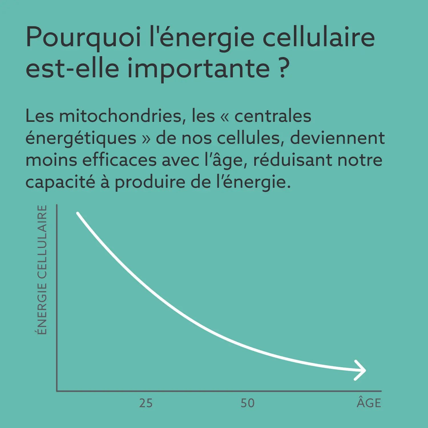Graphique : L'énergie cellulaire diminue avec l'âge. Axe : Énergie cellulaire. Axe : Âge (25-50).