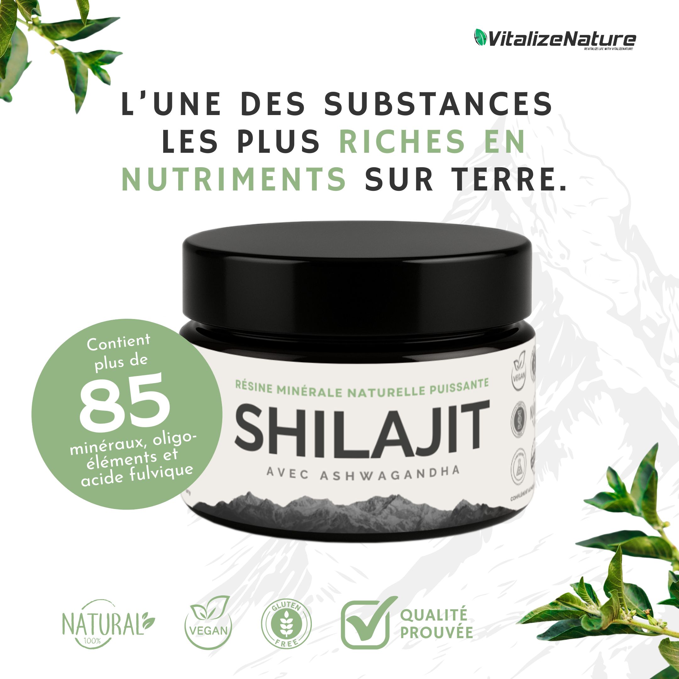 VitalizeNature Shilajit avec Ashwagandha