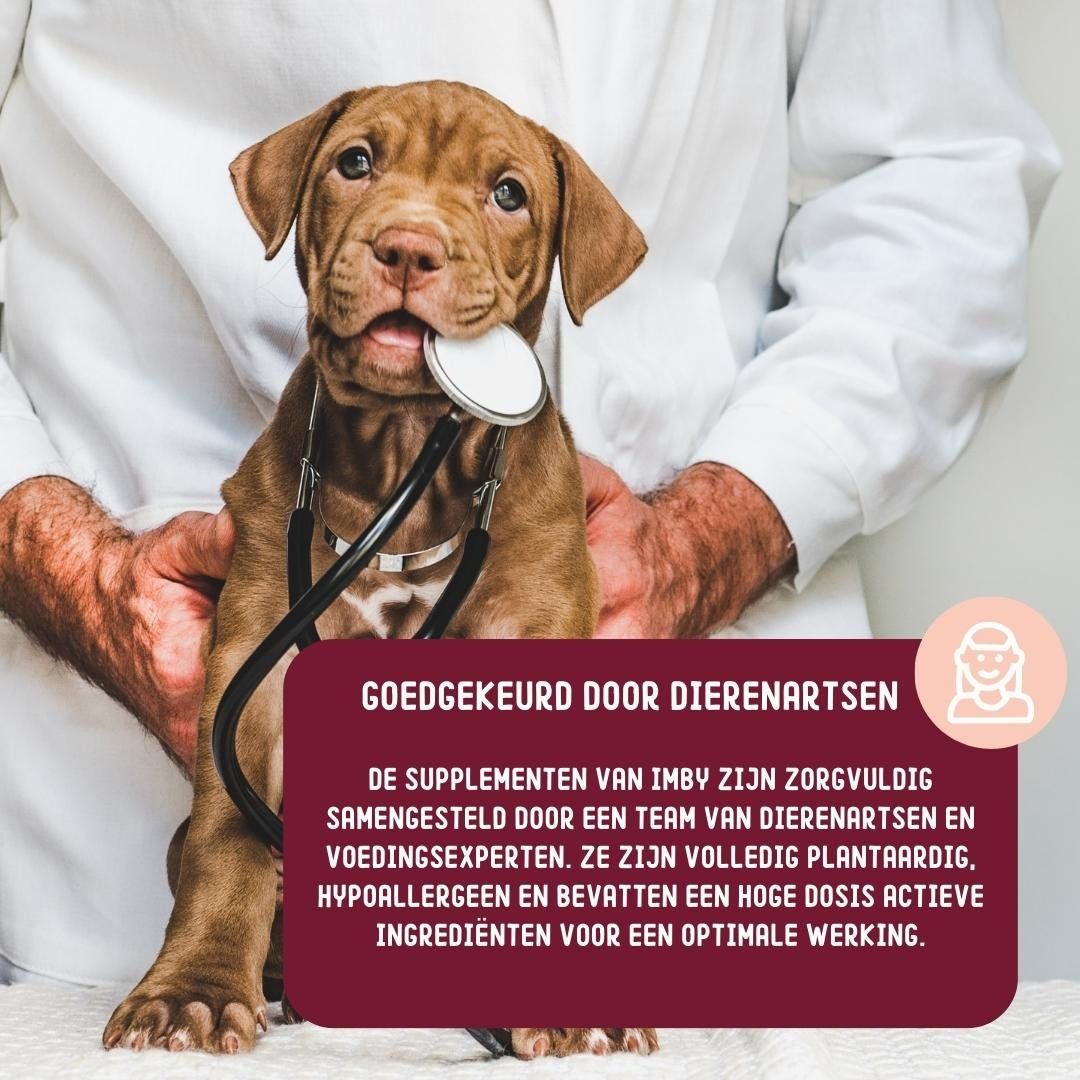 Suppléments pour chiens Imby, approuvés par les vétérinaires, hypoallergéniques.