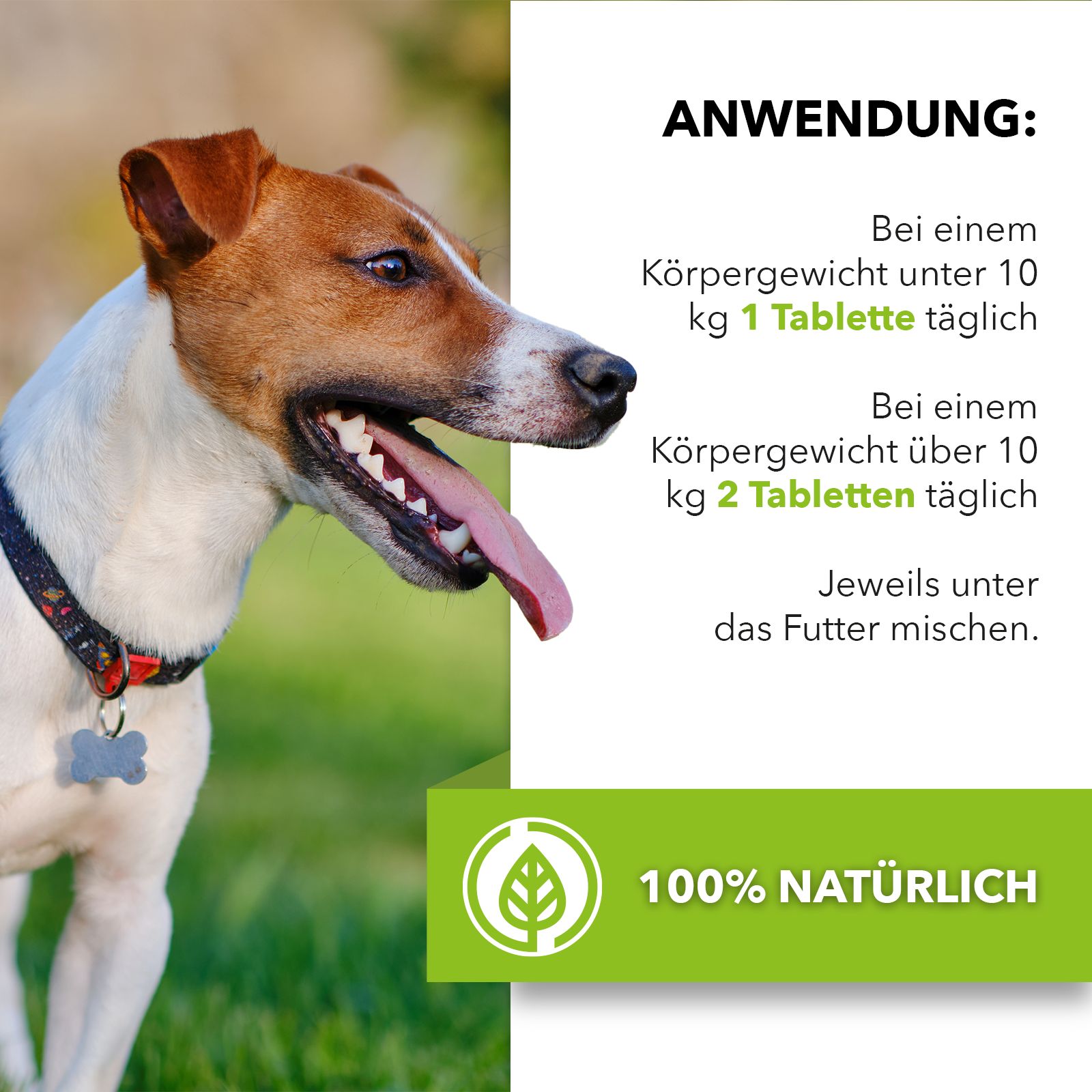 Close-up van een hond met tekst over de toepassing van wormtabletten.
