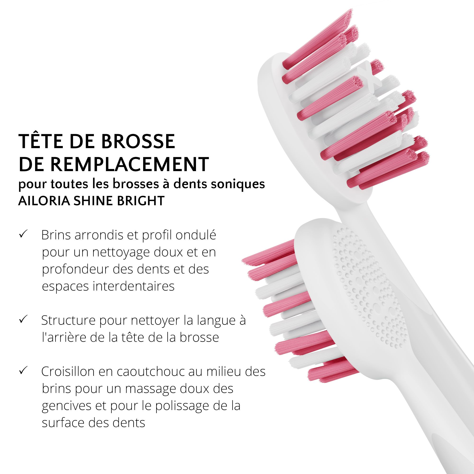 Gros plan de deux têtes de brosse à dents blanches avec poils roses. Texte: Tête de remplacement pour AILORIA SHINE BRIGHT.