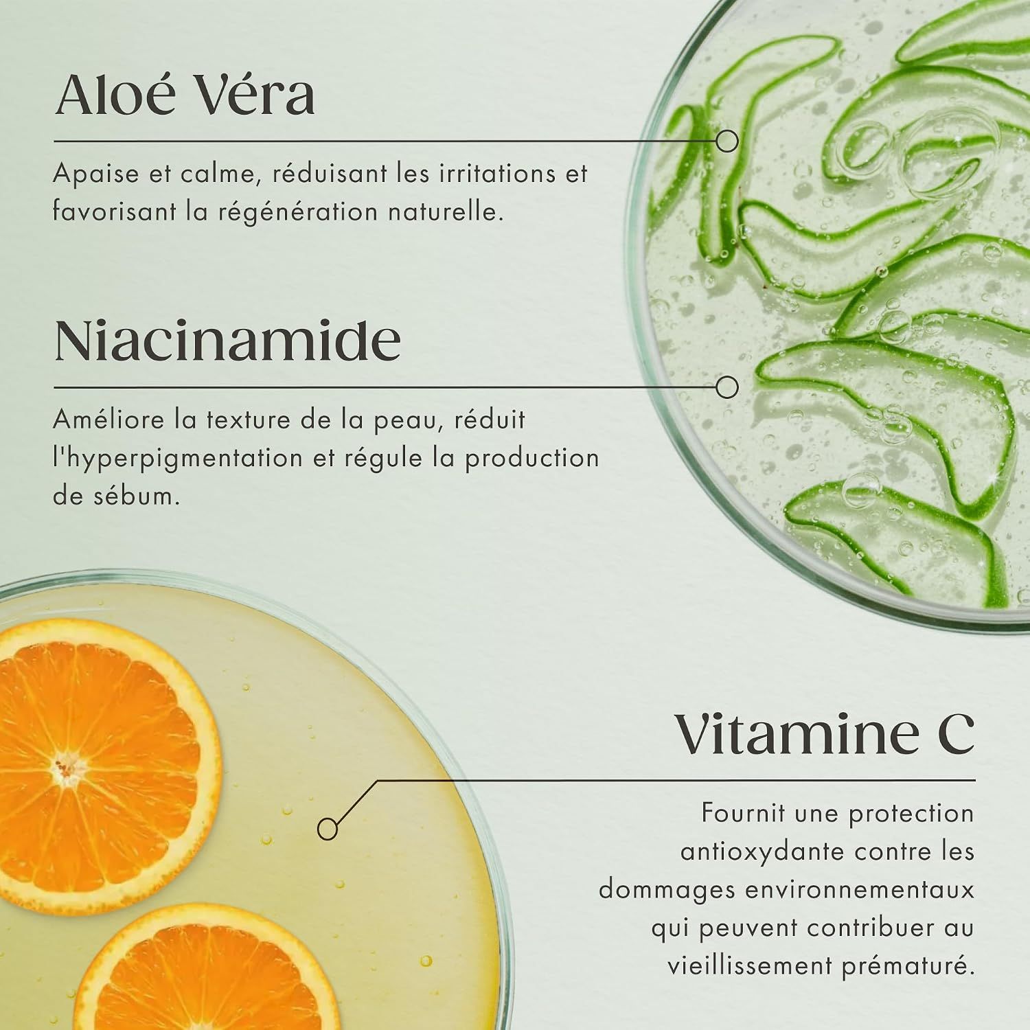Ingrédients : Aloe Vera, Niacinamide, Vitamine C.