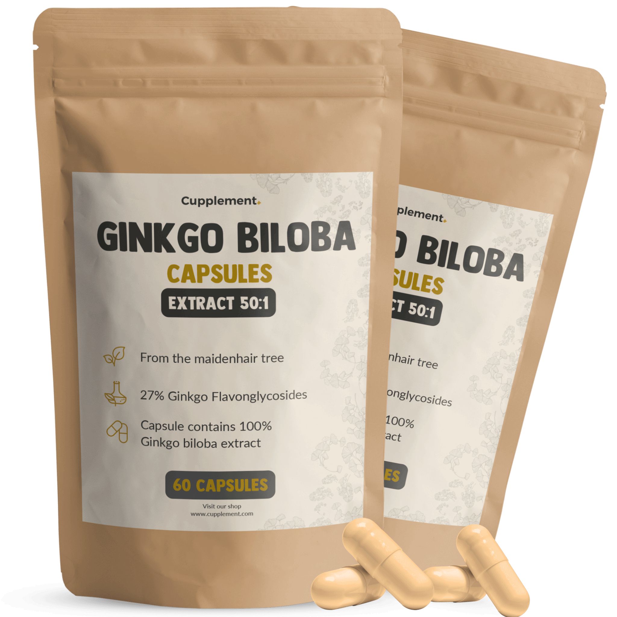 Twee zakjes Ginkgo Biloba capsules. Opschrift: 60 capsules, 27% flavonglycosiden, 100% Ginkgo extract.