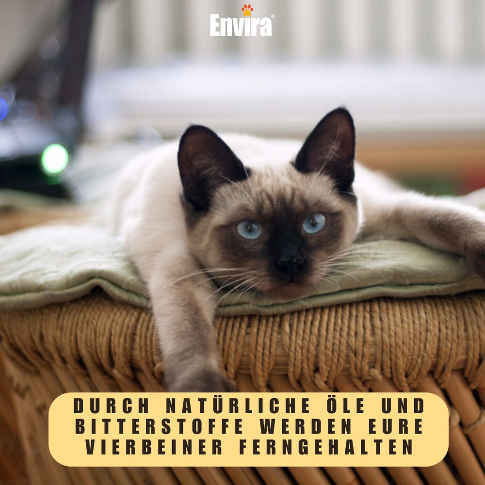 Chat siamois couché sur un tabouret. Texte : Grâce aux huiles naturelles et aux substances amères, vos animaux seront tenus à l'écart.