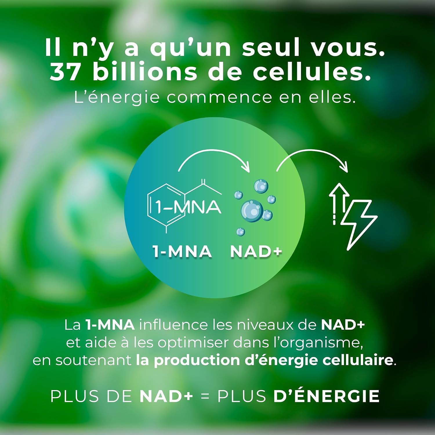 Graphique avec formules chimiques et texte sur le NAD+ et l'énergie cellulaire.