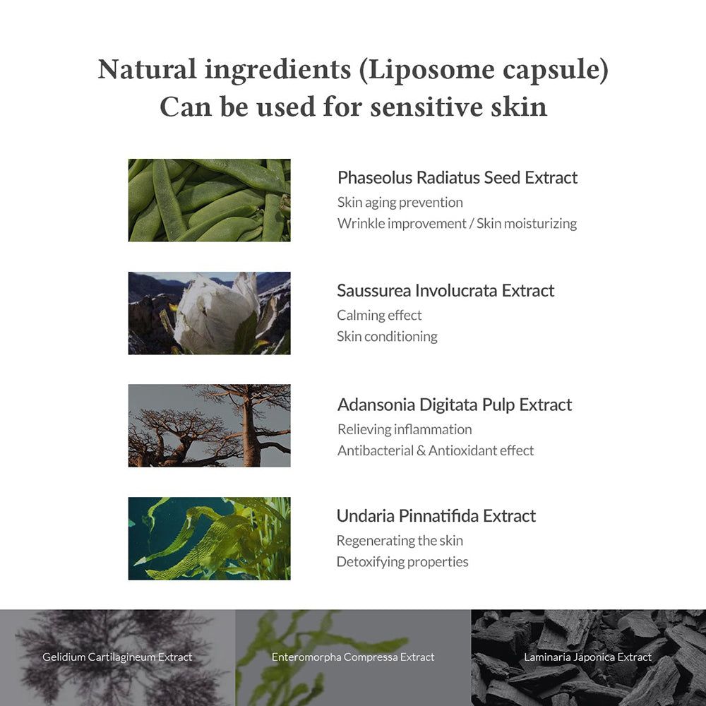 Illustration d'ingrédients naturels comme des haricots, des fleurs et des algues pour les soins de la peau.