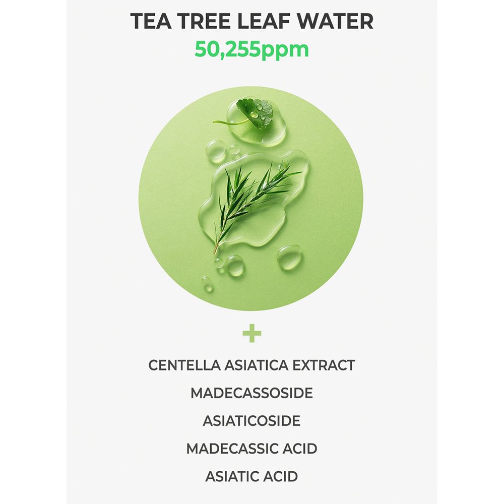 Représentation circulaire des ingrédients. Texte : TEA TREE LEAF WATER, 50,255ppm, Centella Asiatica Extract, Madecassoside, Asiaticoside, Madecassic Acid, Asiatic Acid.