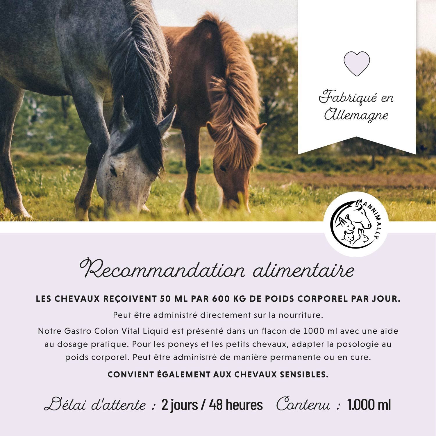 Flacon de liquide. Inscription: Magen-Darm Liquid, Gastro Colon Vital. Logo cheval. 1000 ml.