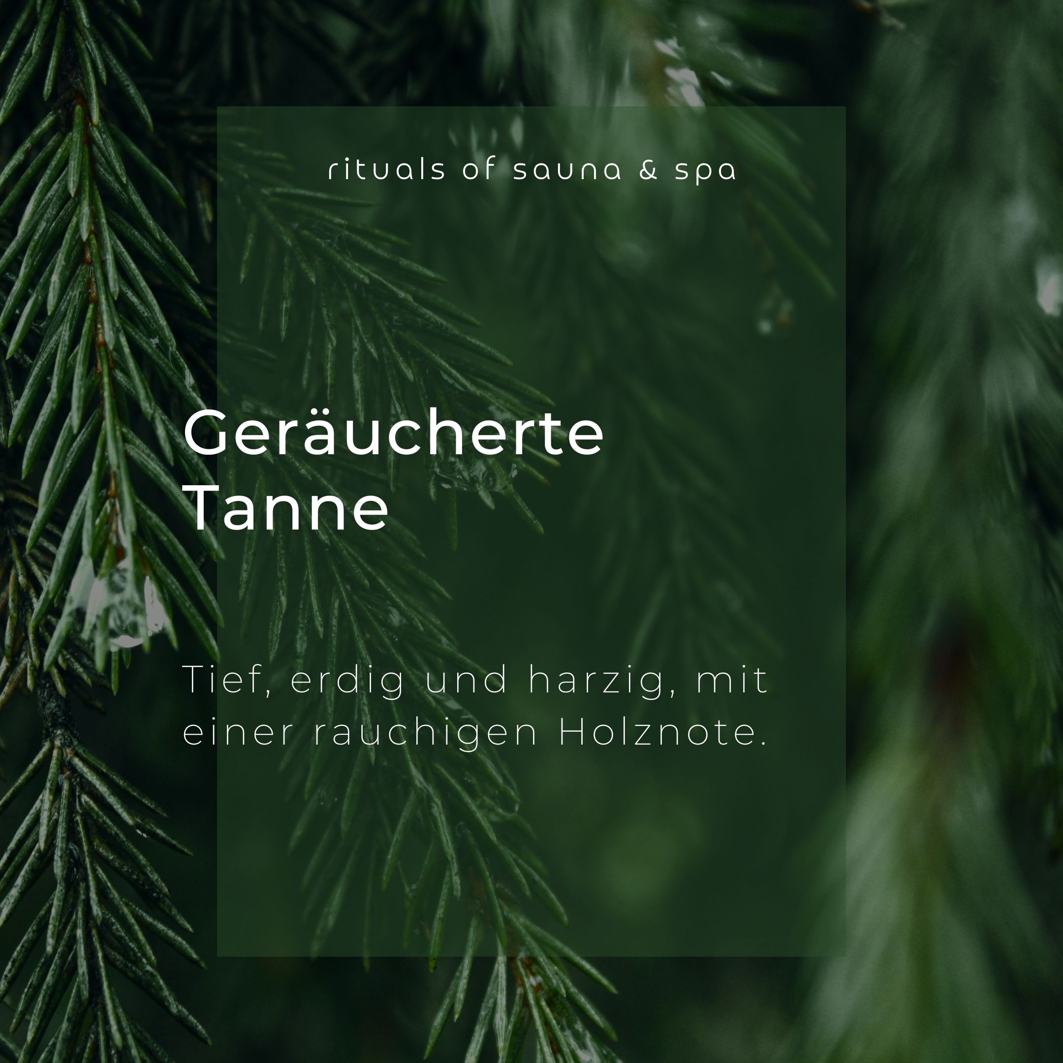 Tekst op groene achtergrond: Geräucherte Tanne. Diep, aards en harsachtig, met een rokerige houtnoot. Omringd door dennentakken.