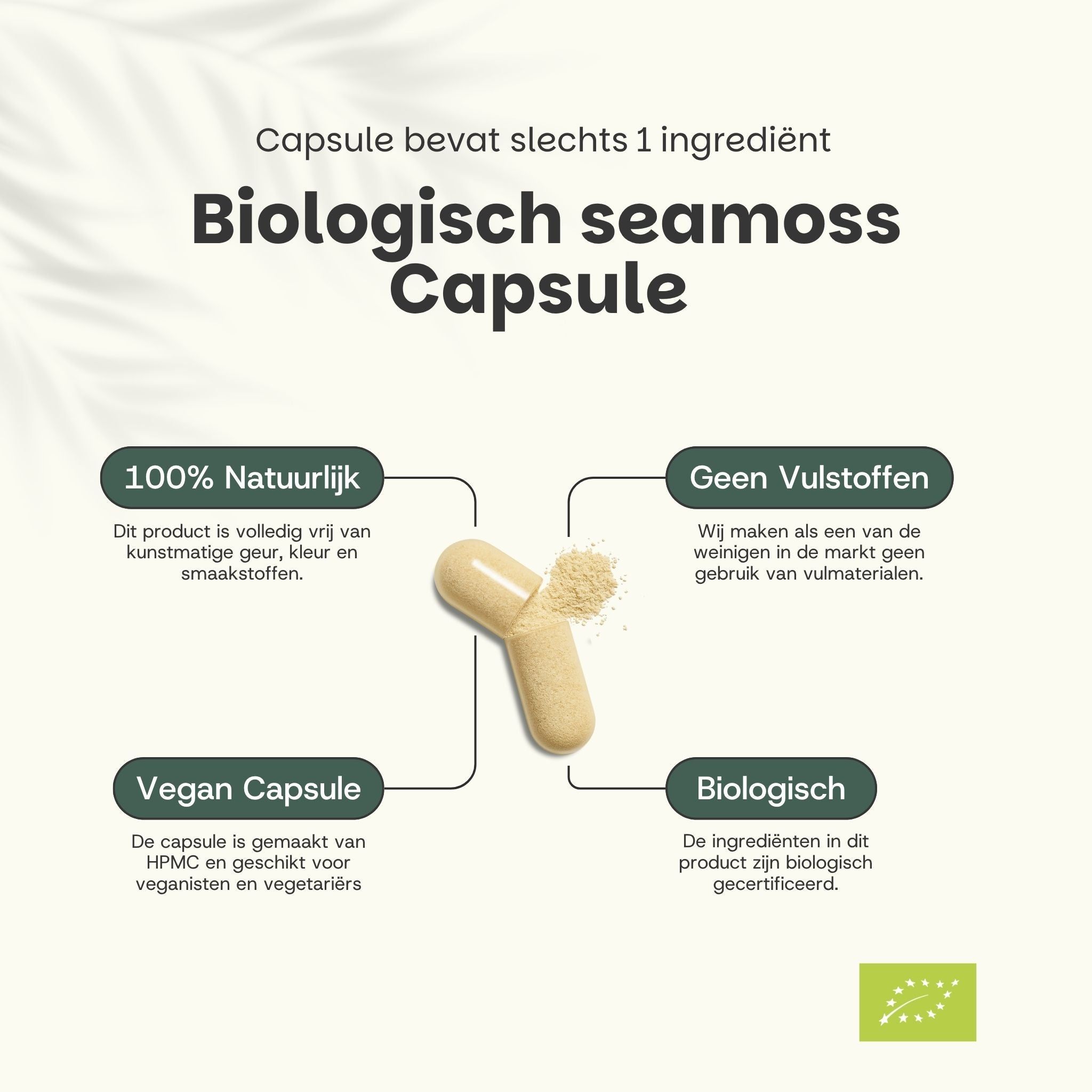 Afbeelding van een biologische Sea Moss-capsule. Informatie over de ingrediënten. Gele achtergrond.