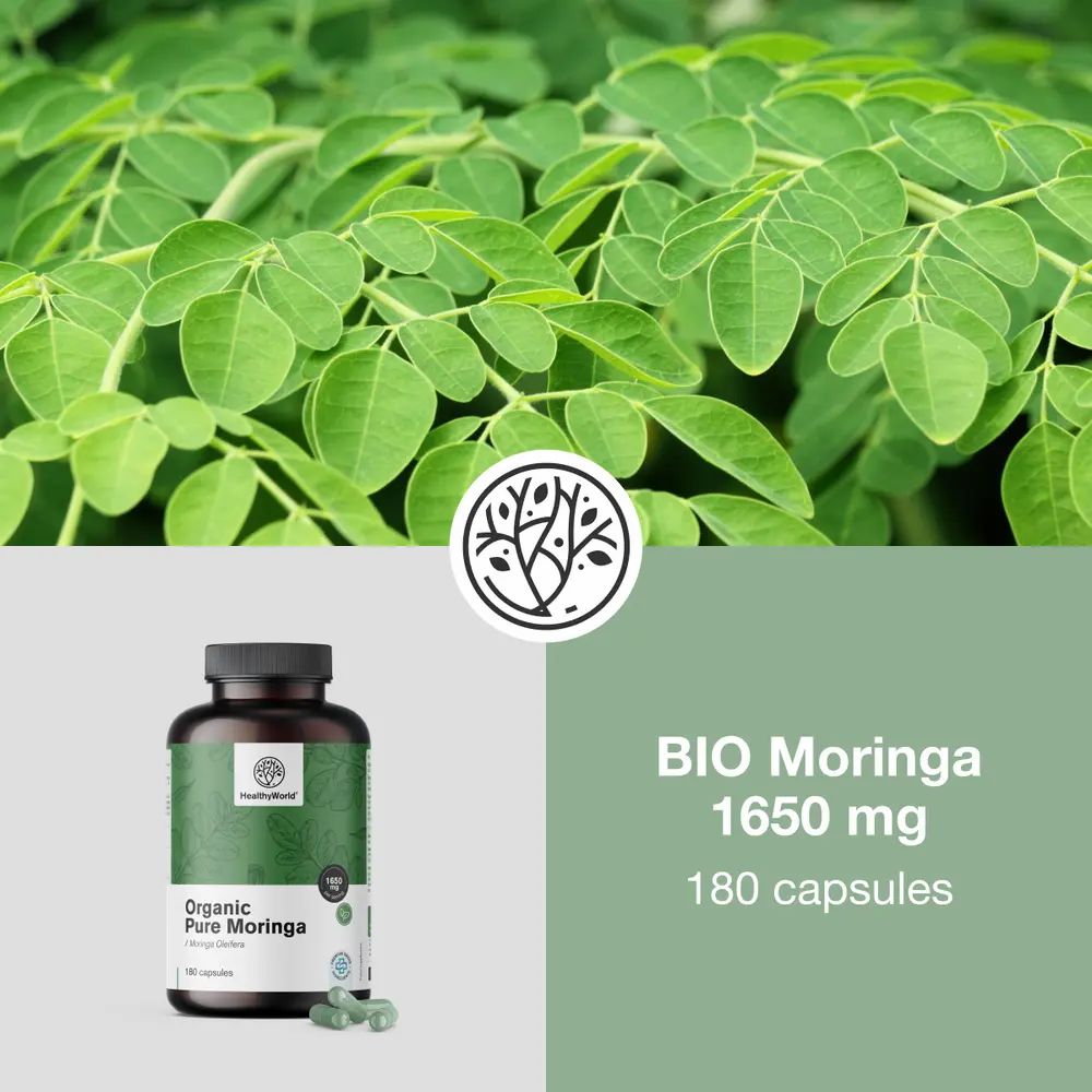 Tekst met symbolen en fles: BIO Moringa 1650 mg, 180 capsules. Tekst: Traditioneel gebruik, natuurlijke ingrediënten, hoge dosering.