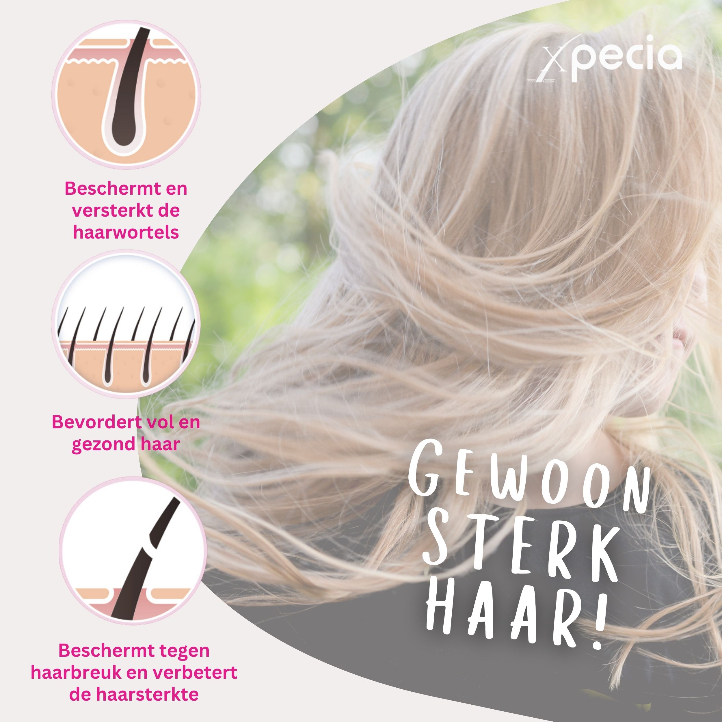 Illustraties van haar. Tekst: Gewoon sterk haar! Beschermt haarwortels, bevordert vol haar, beschermt tegen haarbreuk.