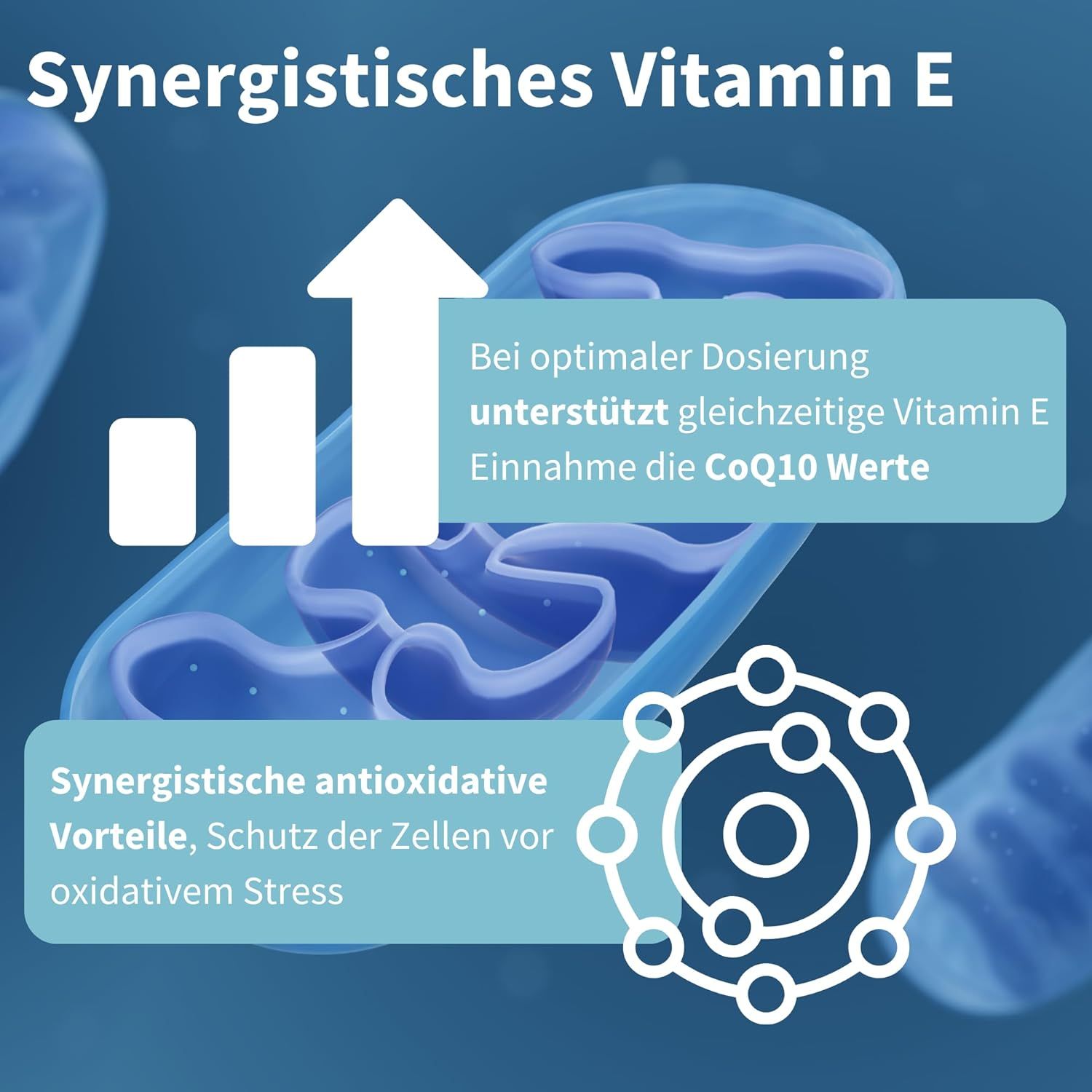 Graphique montrant les avantages de CoQ10 et de la vitamine E. Avantages synergiques, protection.