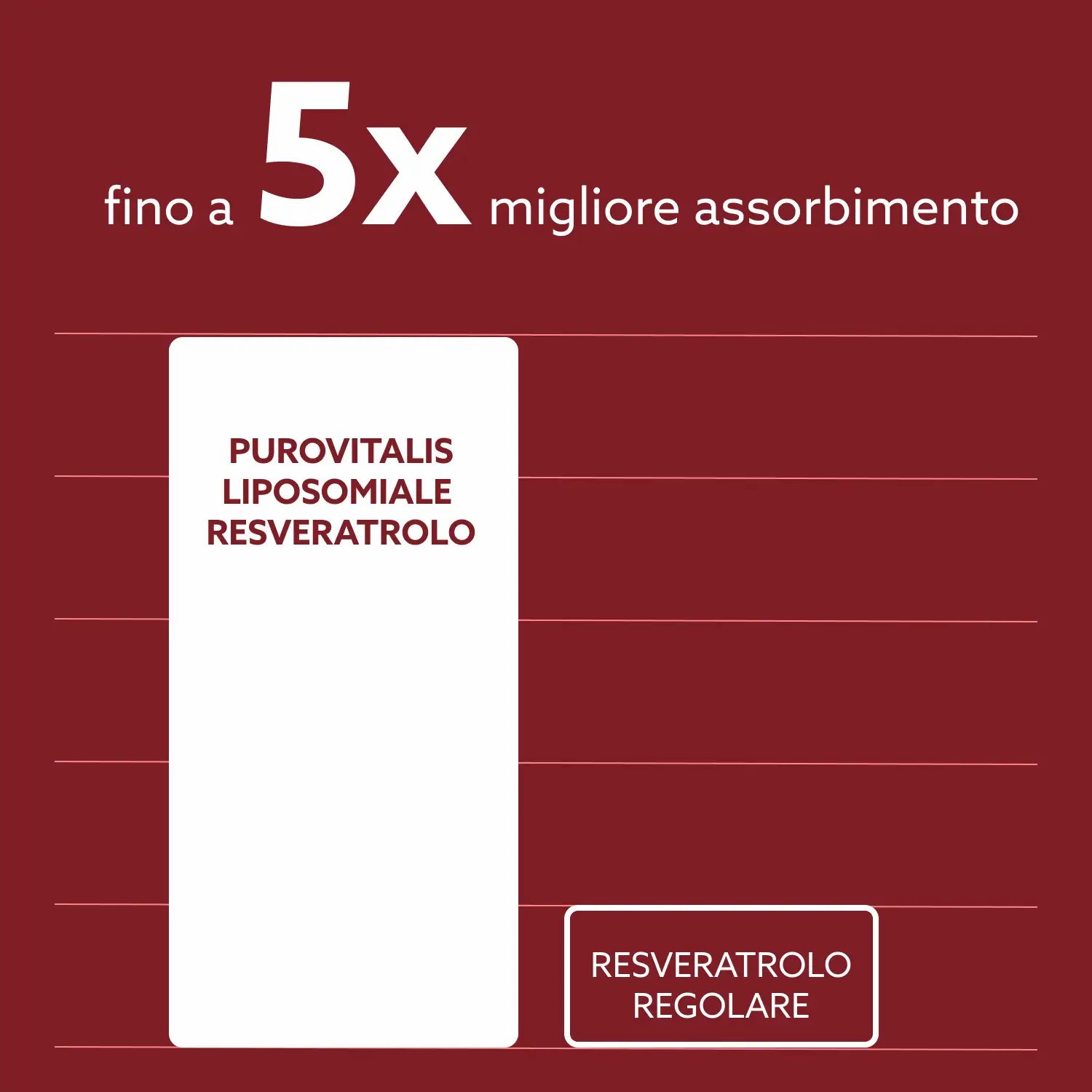Grafiek: Purovitalis Liposomaal Resveratrol, tot 5x betere absorptie. Vergelijking met regulier resveratrol.