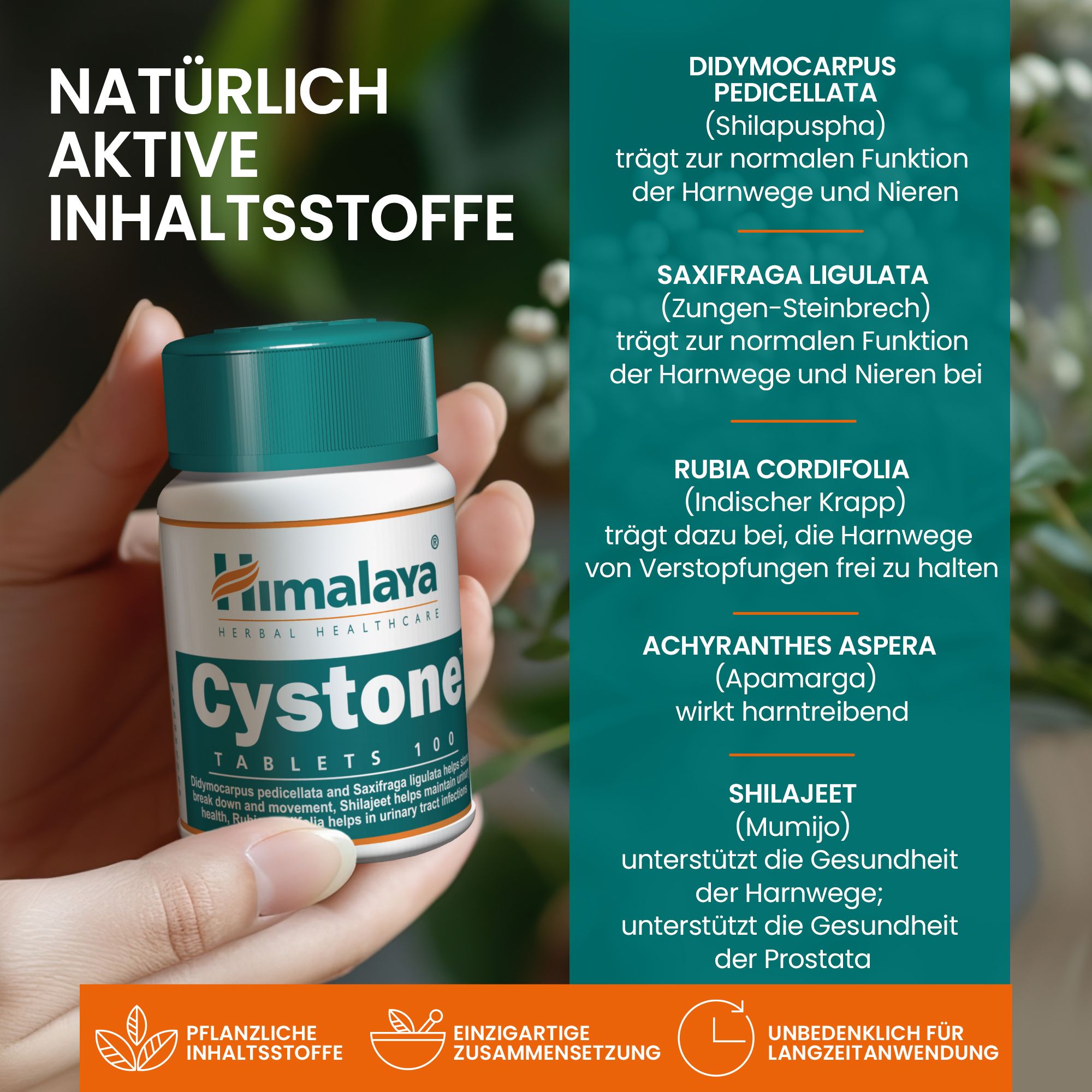 Main tenant une bouteille de Cystone Himalaya à côté de la liste des ingrédients naturels.