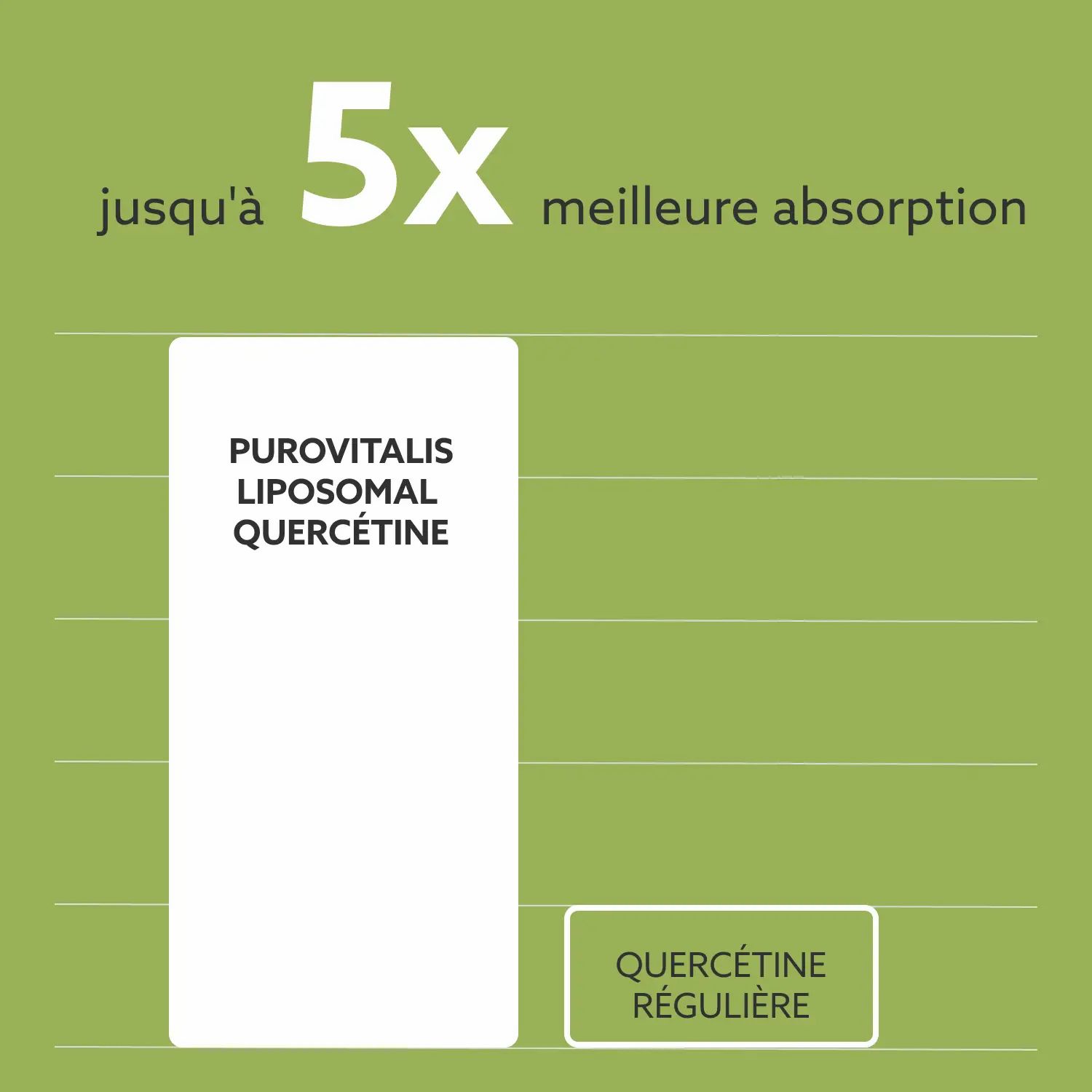 Graphique : Purovitalis Quercétine liposomale, jusqu'à 5x meilleure absorption que la quercétine régulière.