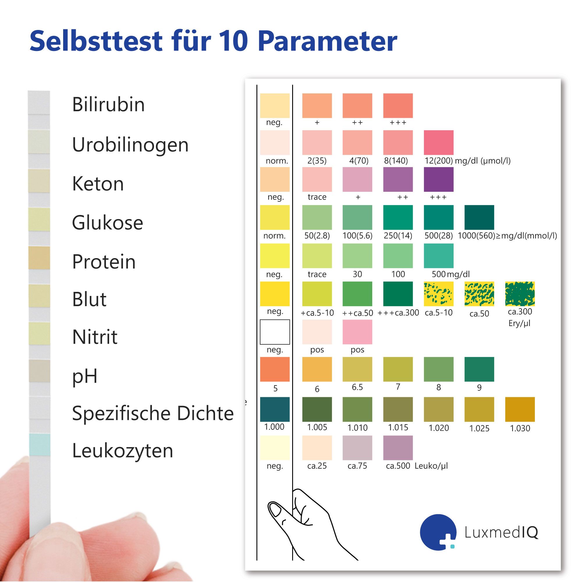 Teststrip met kleurenschaal. Opschrift: Zelftest voor 10 parameters. Kleurenschaal voor bilirubine, urobilinogeen, keton, etc.