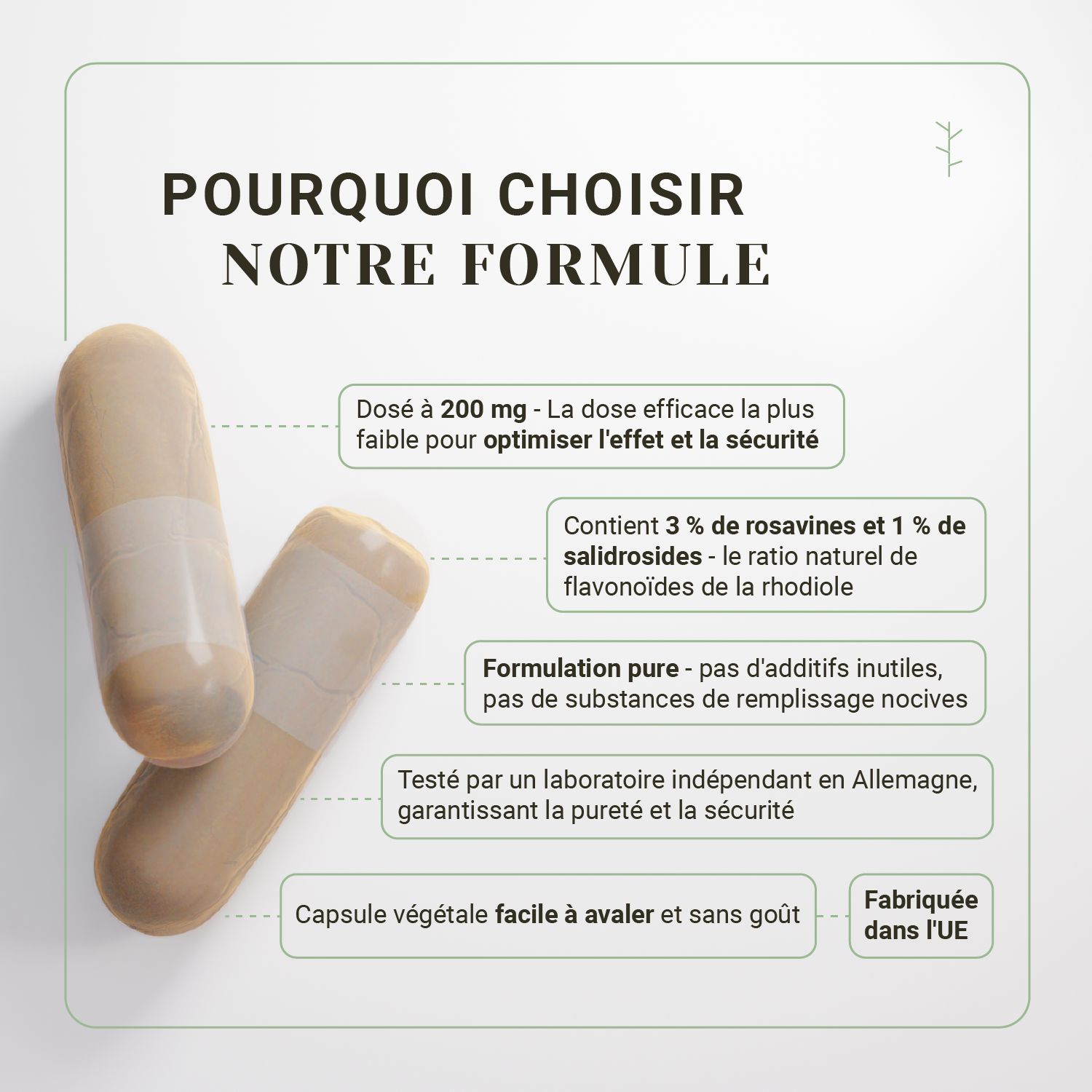 Twee capsules, een plantaardige capsule, gedoseerd op 200 mg, bevat 3% rosavinen en 1% salidrosiden, puur, zonder toevoegingen.