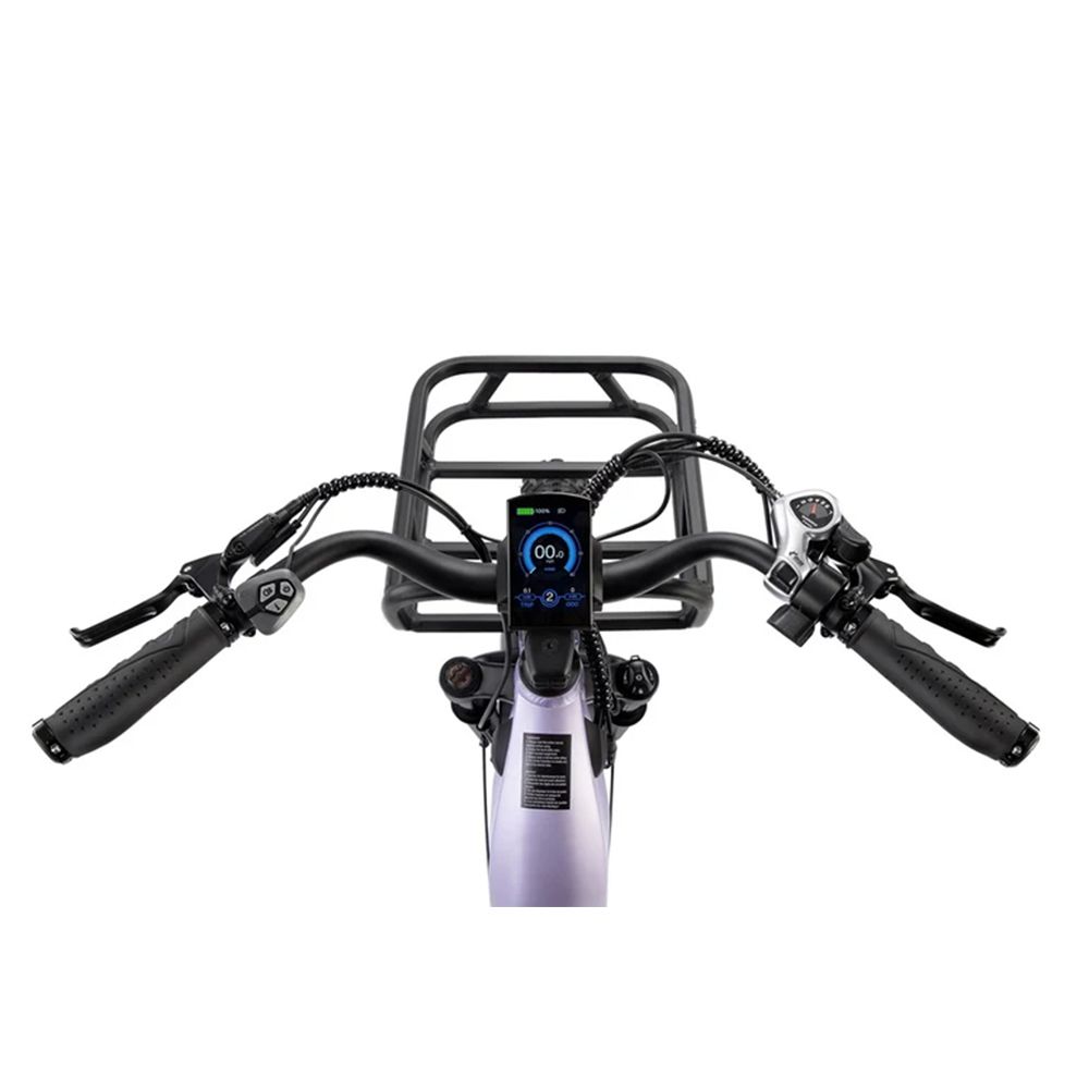 Fietsstuur met display, handvatten en bedieningselementen. Zwarte kleur. Voorste mand zichtbaar.