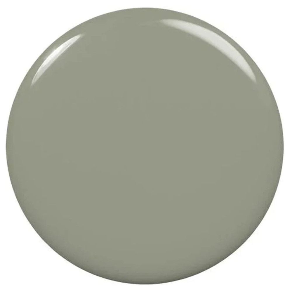 Ronde vlek in groen-grijs. Glanzend oppervlak. Geen verdere details.