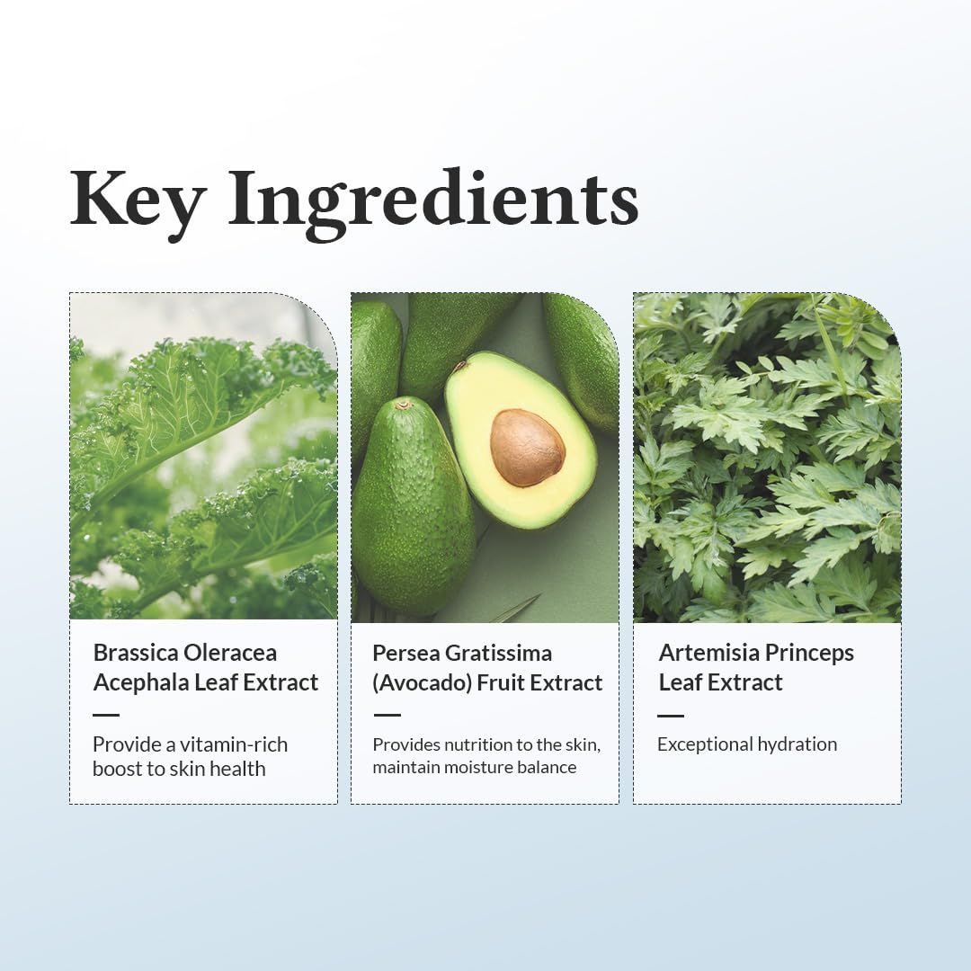 Trois images d'ingrédients: Brassica Oleracea Acephala Leaf Extract, Persea Gratissima Fruit Extract, Artemisia Princeps Leaf Extract.
