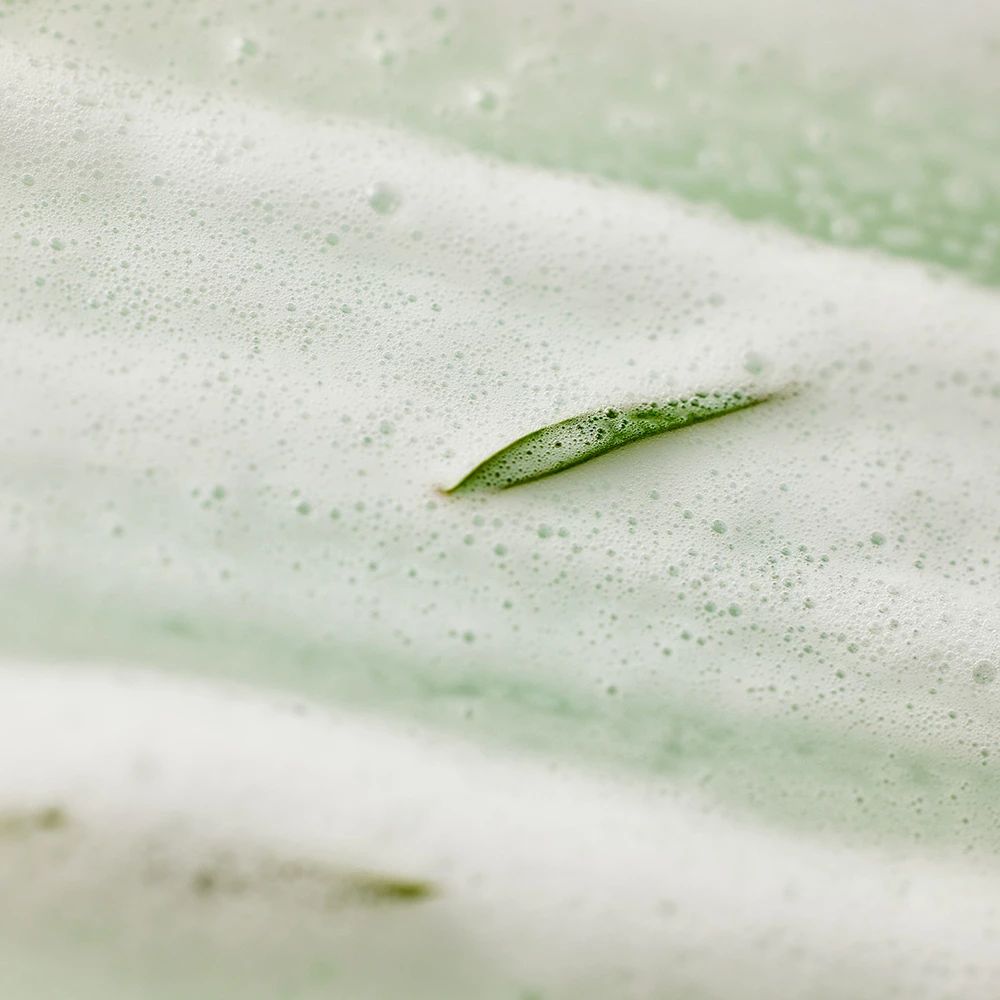 Gros plan sur de la mousse de savon avec une feuille verte. La mousse est dense et recouvre la surface.