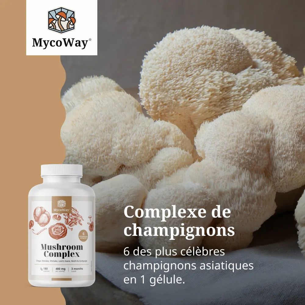 Flacon avec gélules. Texte: Complexe de champignons. 6 des champignons asiatiques les plus célèbres.