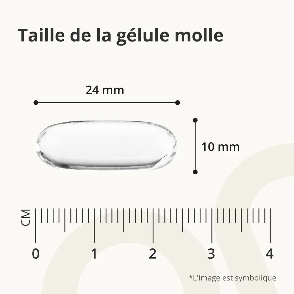 Gélule avec dimensions: 24 mm x 10 mm. Échelle en cm.