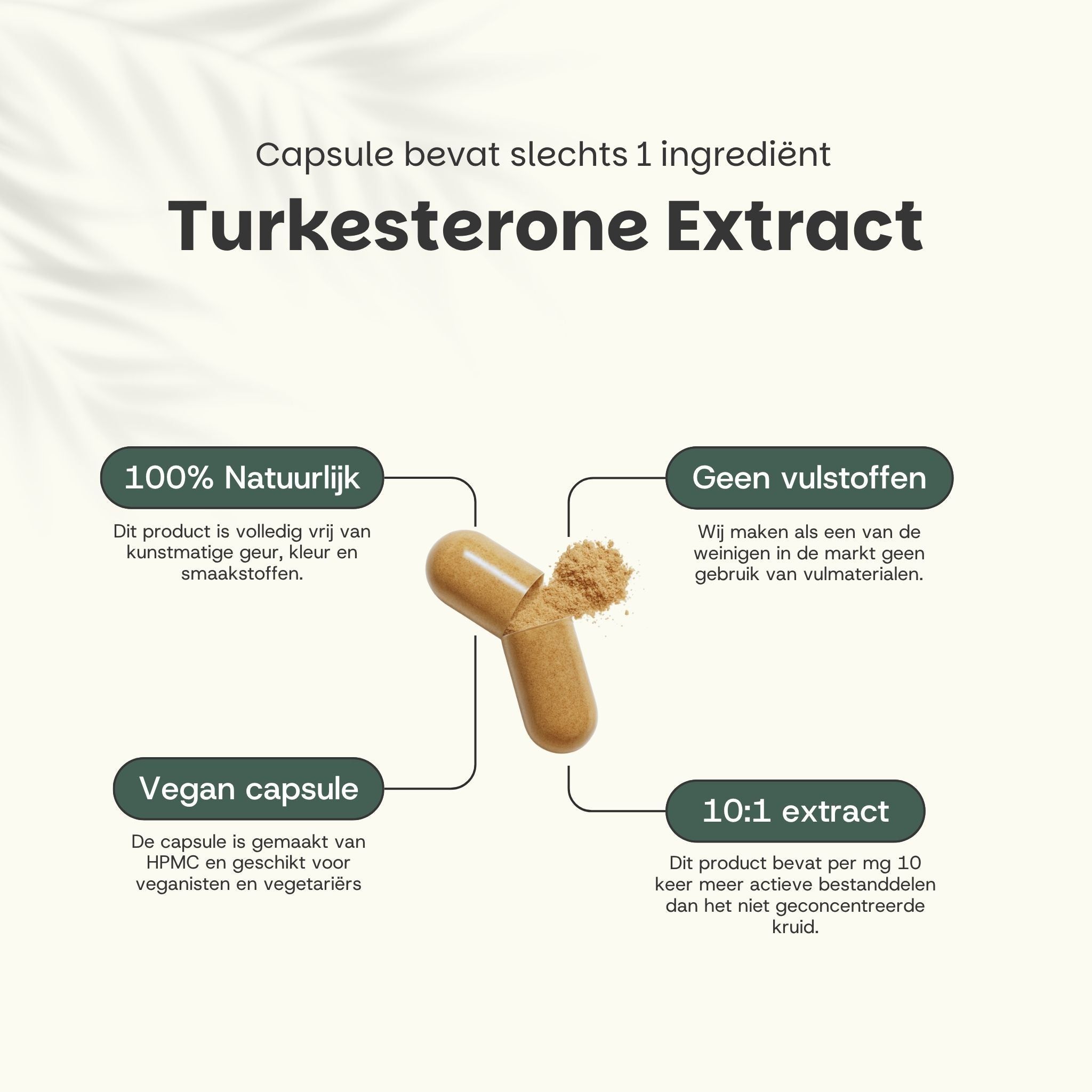 Capsule met inhoud. Opschrift: Turkesterone Extract. 100% natuurlijk. Geen vulstoffen. Vegan capsule. 10:1 extract.