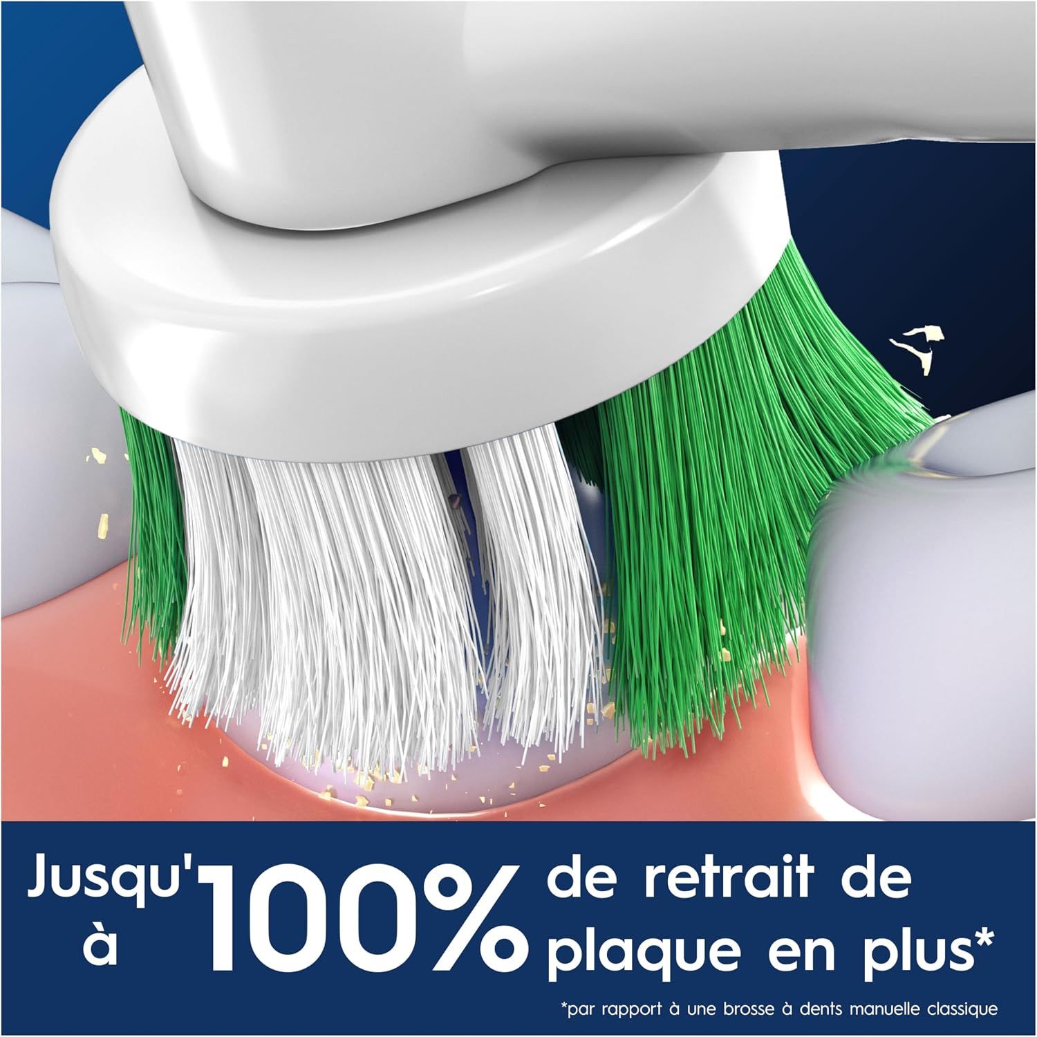 Tête de brosse à dents électrique avec poils blancs et verts nettoie les dents.