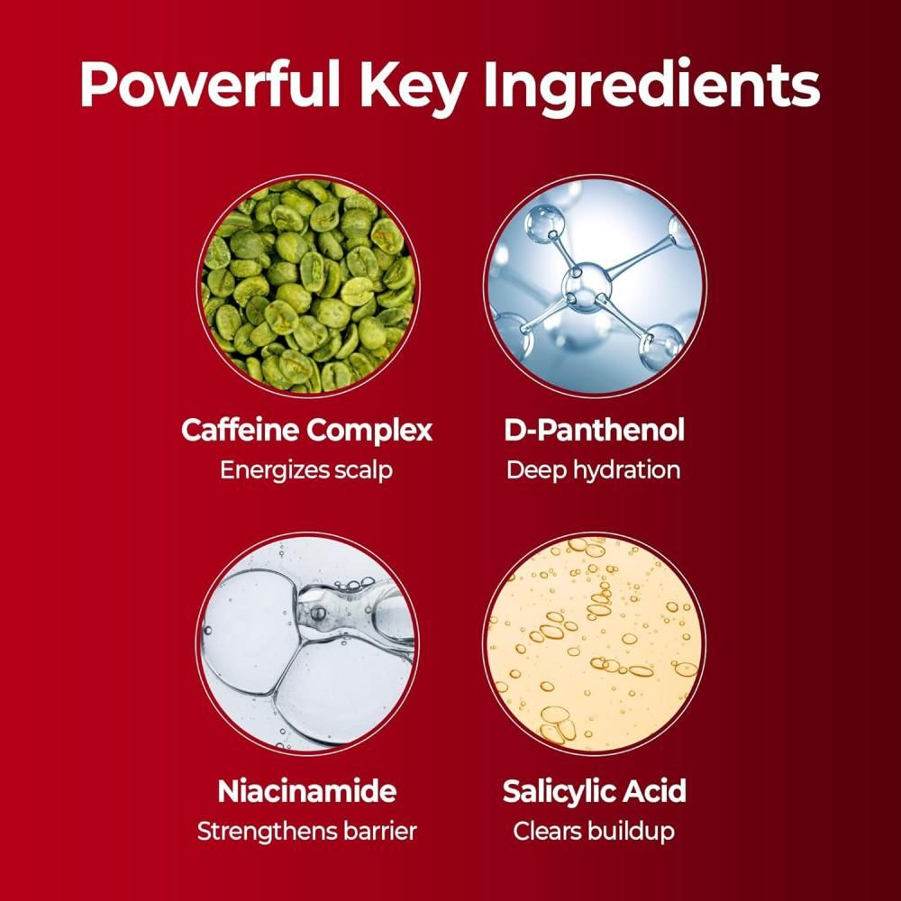 Grafiek van belangrijke ingrediënten voor KUNDAL shampoo: Cafeïnecomplex, D-Panthenol, Niacinamide, Salicylzuur.