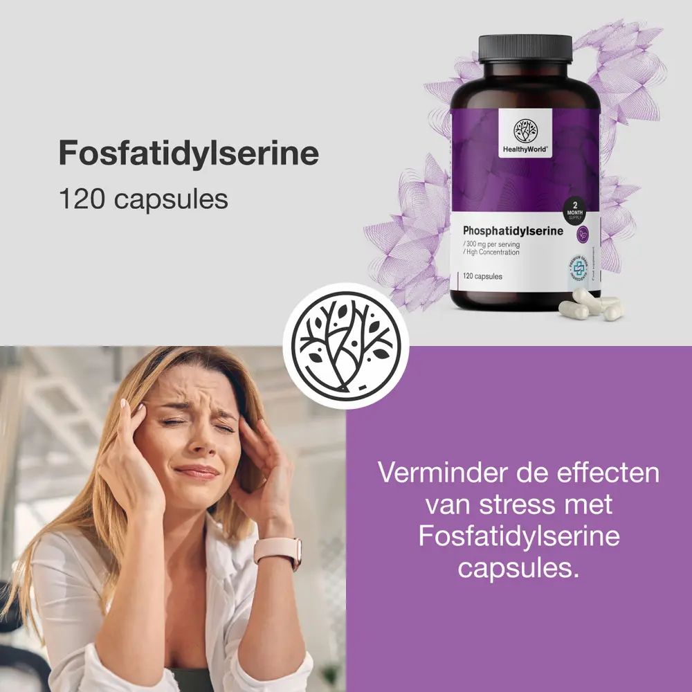 Vrouw met hoofdpijn, ernaast tekst: "Beste ondersteuning voor cognitieve functies". Fles fosfatidylserine.