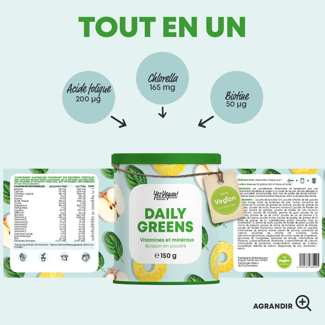 Schéma des ingrédients de Daily Greens Superfood poudre : Superaliments verts, Protéines végétales, Amers, Champignons, Algues, Multivitamines.