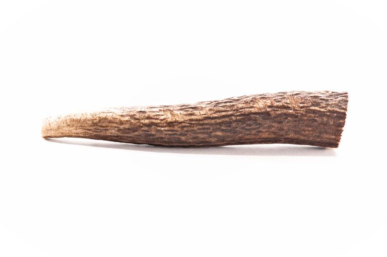 mascota vital - hertengeweien hond