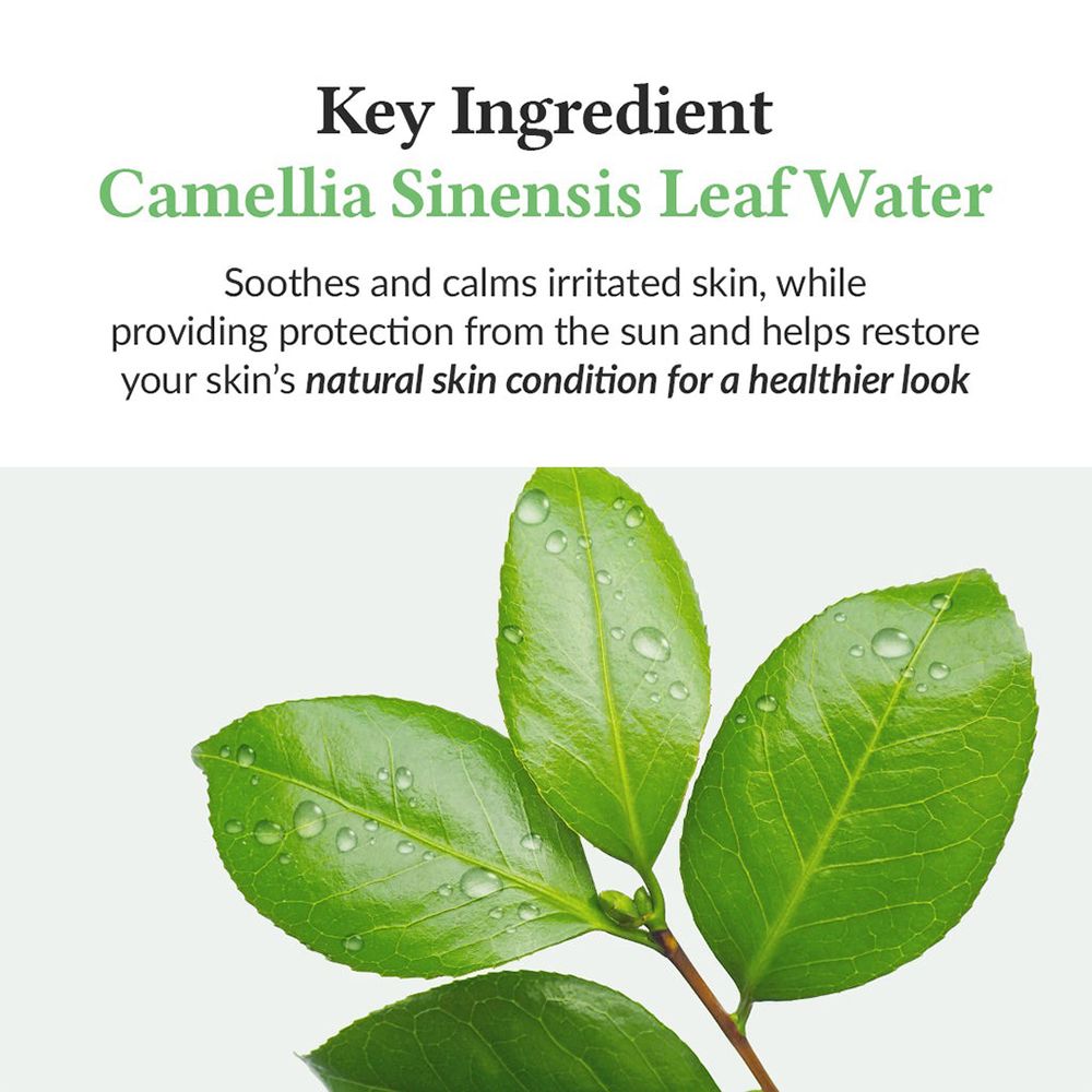 Feuilles vertes avec des gouttes d'eau, symbolisant l'ingrédient principal Camellia Sinensis Leaf Water de la protection solaire.