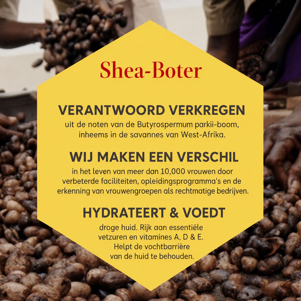 Burt's Bees Handcrème Lavendel & Honing tube met sheaboter.
