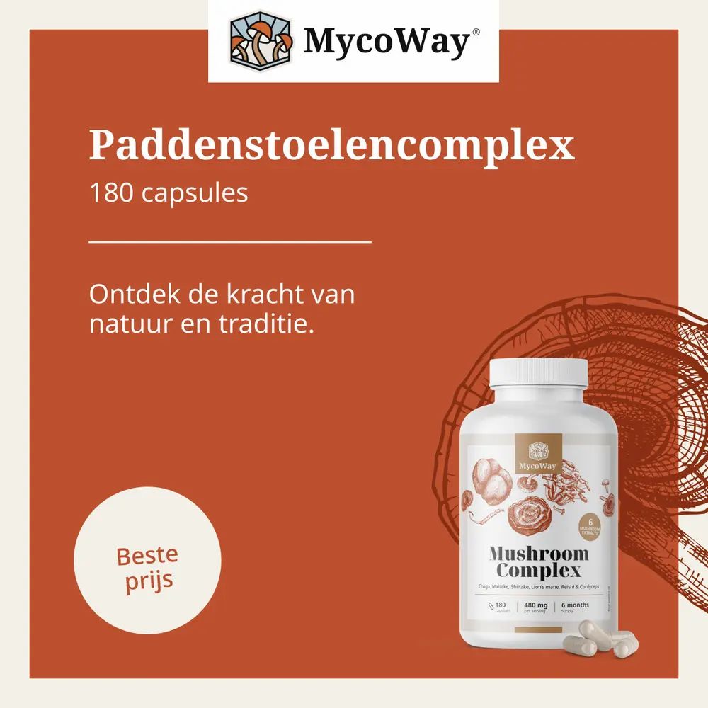 Bruine achtergrond met witte pilfles. Opschrift: Mushroom Complex. 180 capsules. Bevat L-Leucine.