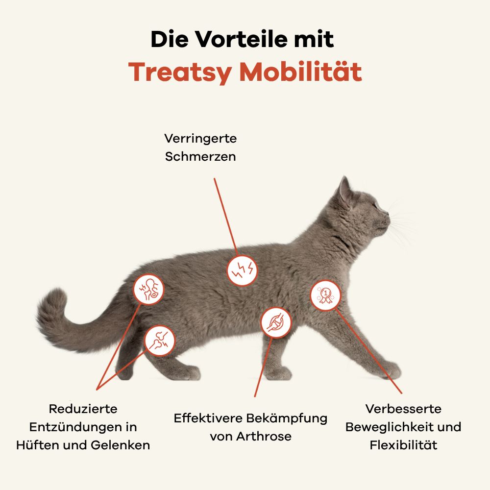 Grijze kat met rode markeringen. Tekst: De voordelen met Treatsy Mobiliteit. Verminderde pijn, artrose, mobiliteit.