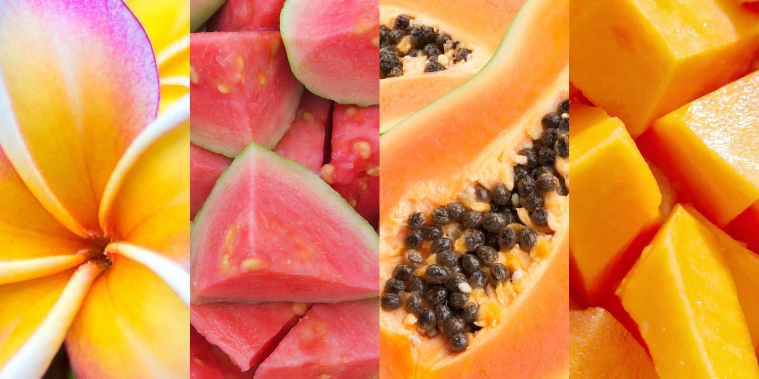 Gros plan de quatre fruits différents : fleur jaune, goyave, papaye, mangue.