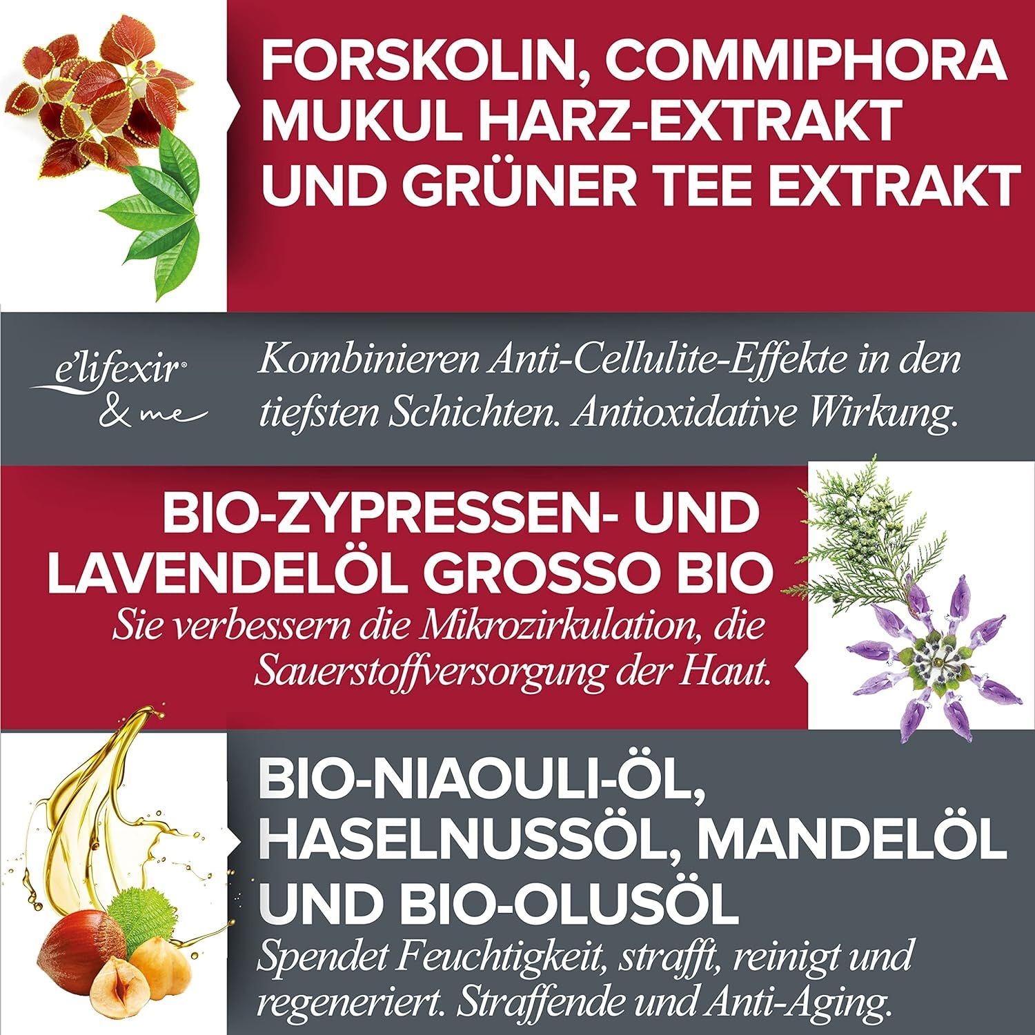 Détail des ingrédients Elifexir. Texte et illustrations sur fond rouge. Images de plantes.
