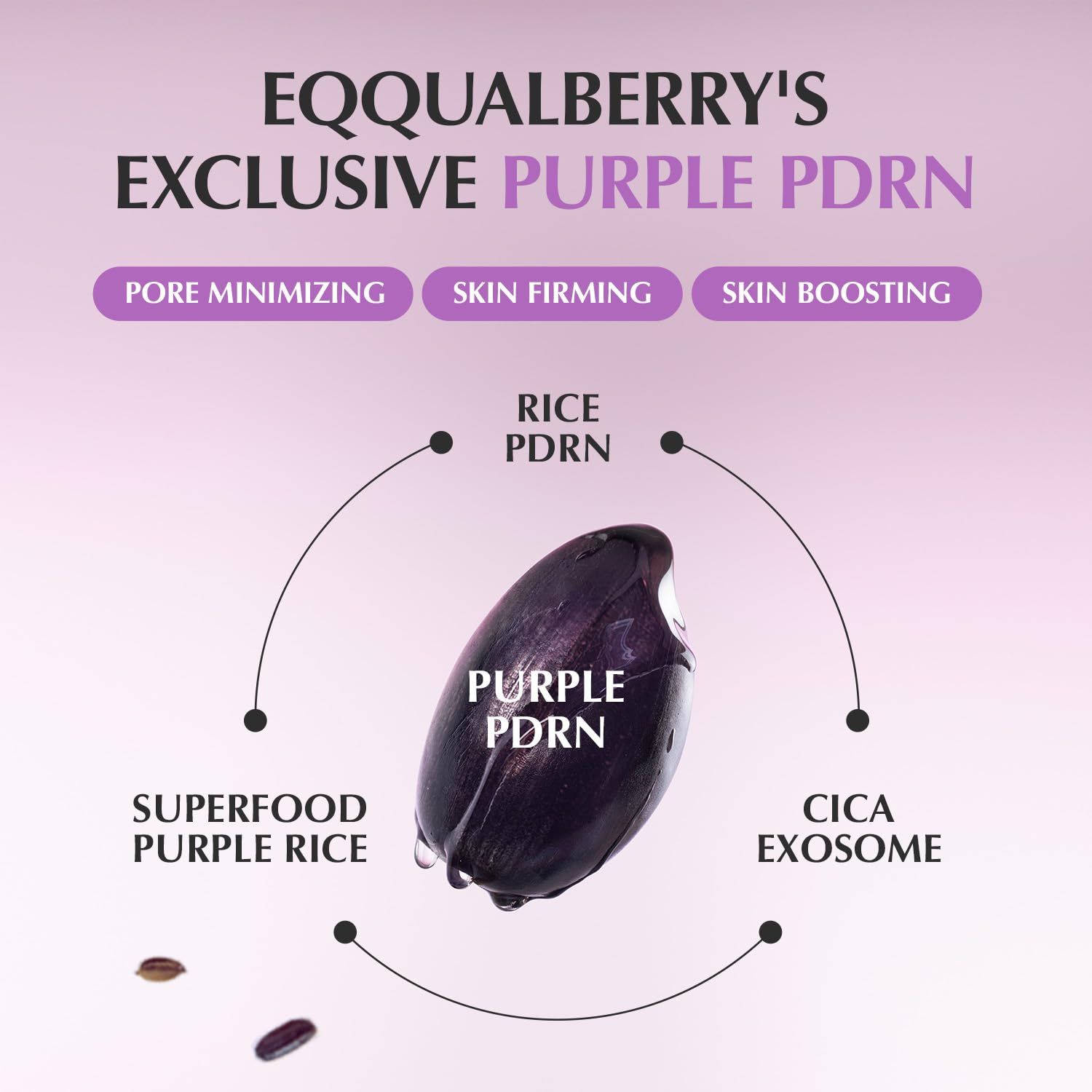 Illustration des ingrédients. Riz violet, Cica Exosom, Superfood Purple Rice. Texte: Pore Minimizing, Skin Firming, Skin Boosting.