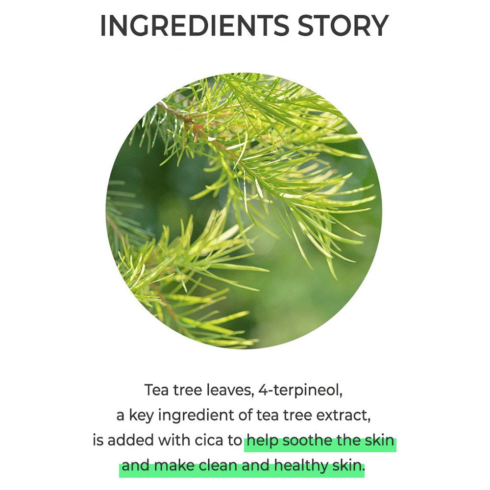 Texte : INGREDIENTS STORY. Texte sur les feuilles de théier et le cica pour apaiser la peau et la rendre propre.