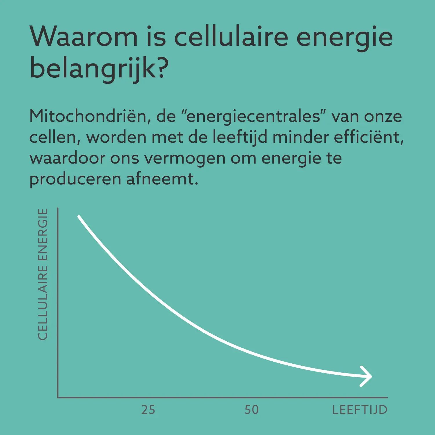 Grafiek: Cellulaire energie neemt af met de leeftijd. As: Cellulaire energie. As: Leeftijd (25-50).