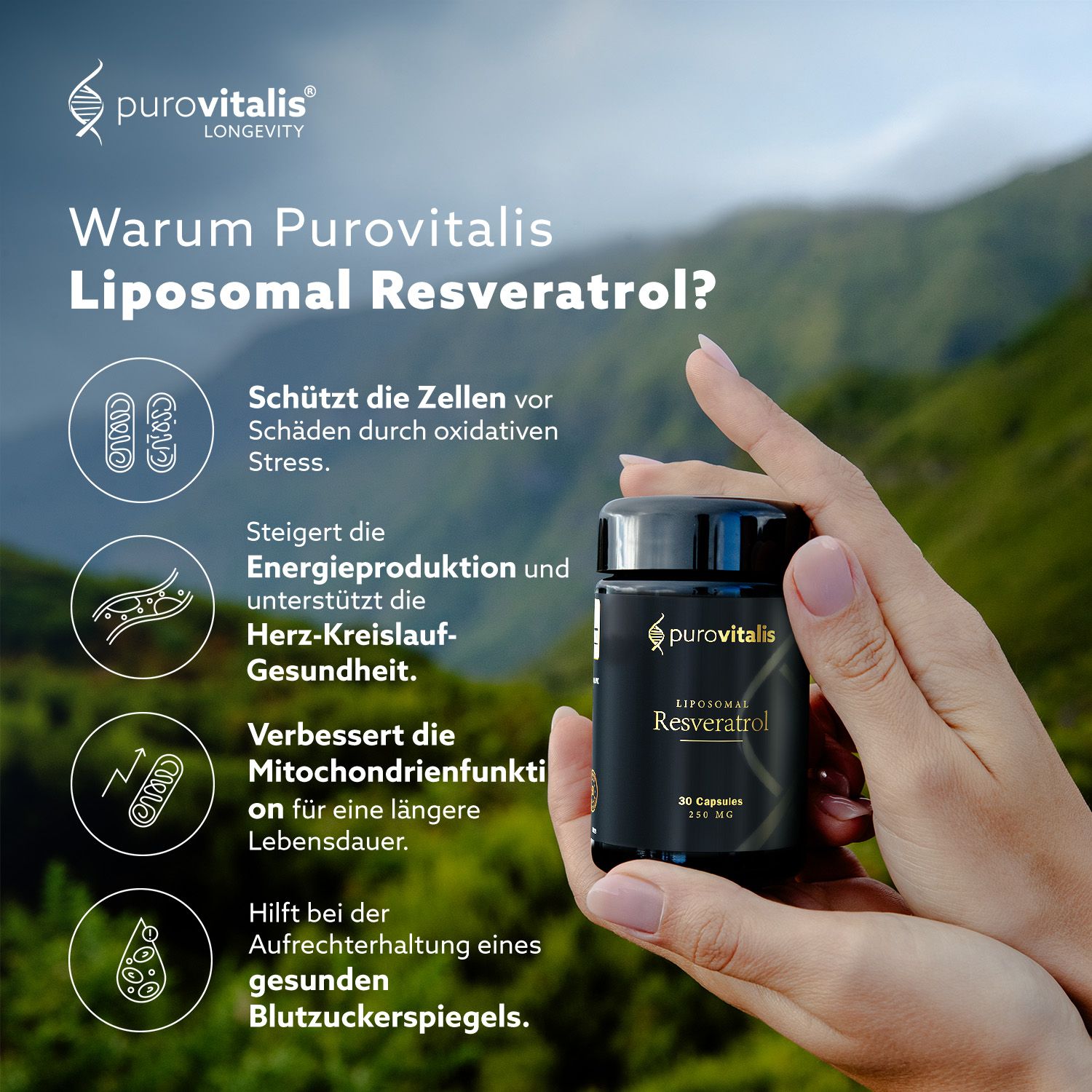 Handen houden een fles 'Purovitalis Liposomal Resveratrol'. Tekst: 'Waarom Purovitalis Liposomal Resveratrol?'